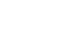 Len's Coastal Safaris Sitelogo