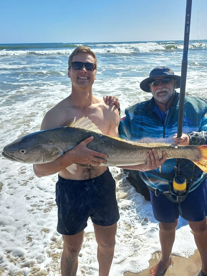 Namibian Coastal Safari Photo